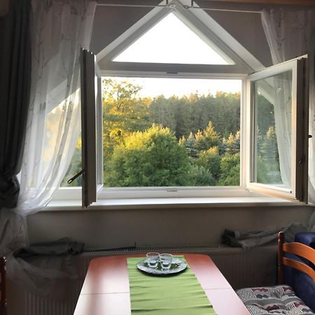 Forest Paradise Apartman Stružná Kültér fotó