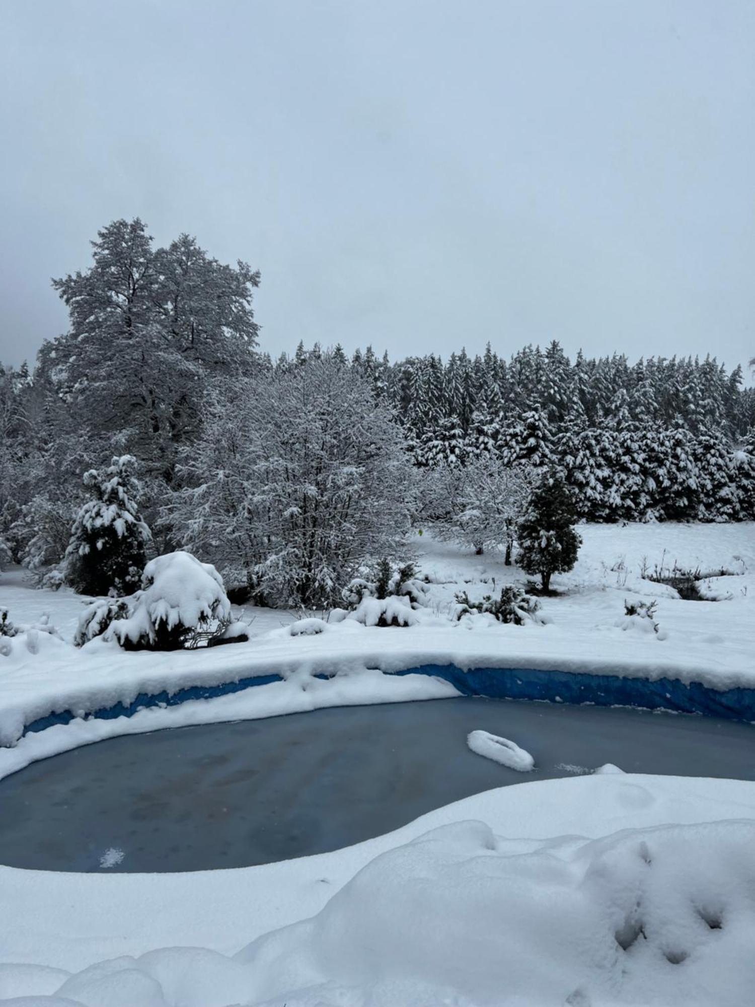 Forest Paradise Apartman Stružná Kültér fotó