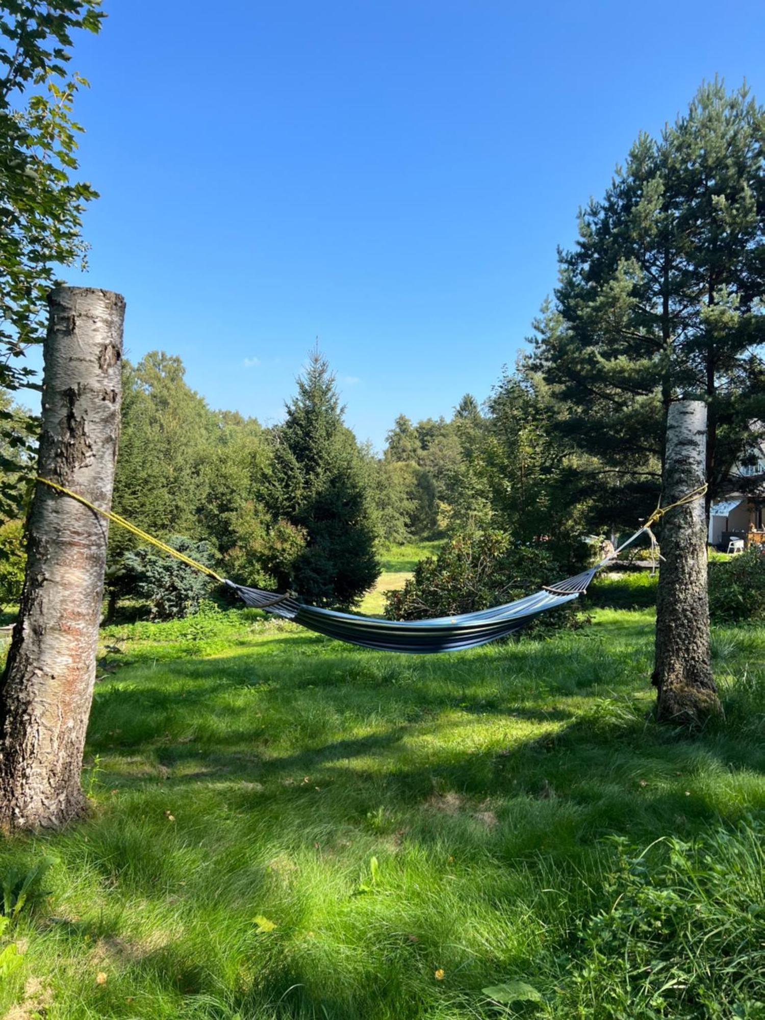 Forest Paradise Apartman Stružná Kültér fotó