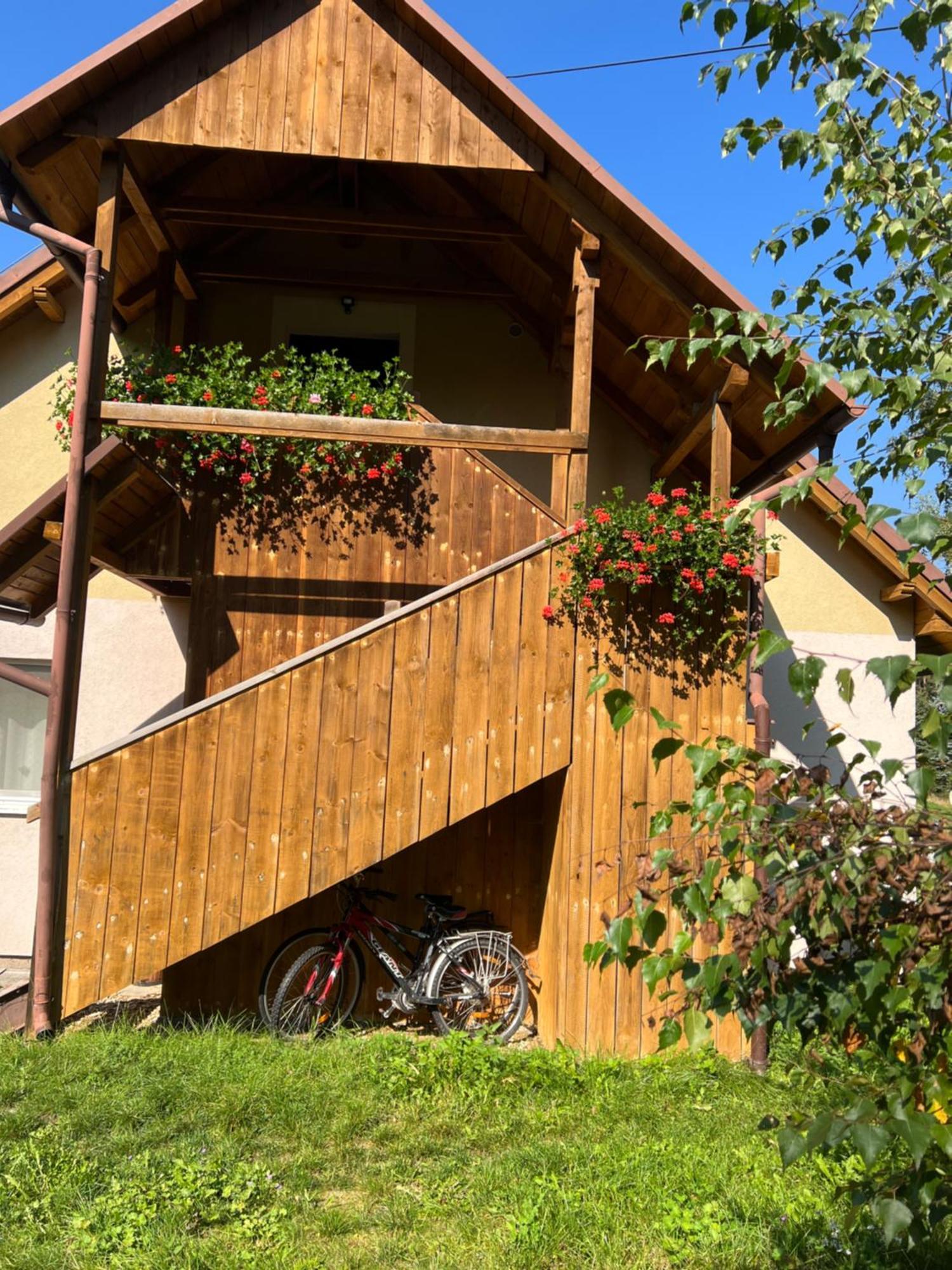 Forest Paradise Apartman Stružná Kültér fotó